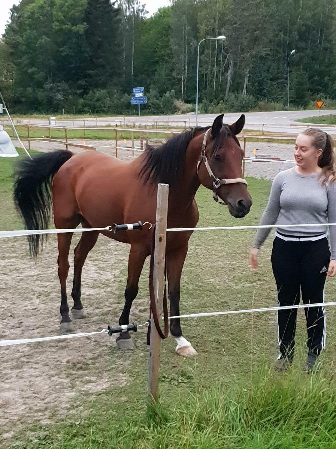 Myskje Gard Gastgiveri Soderala Extérieur photo