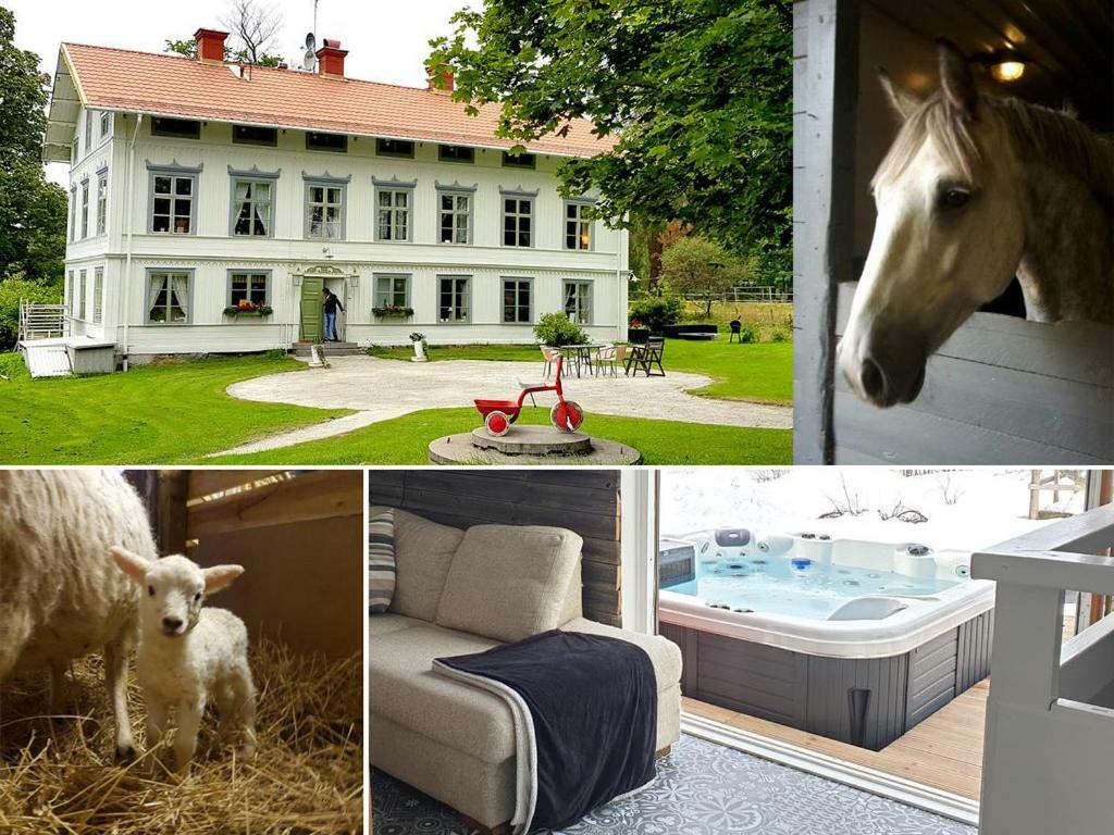Myskje Gard Gastgiveri Soderala Extérieur photo